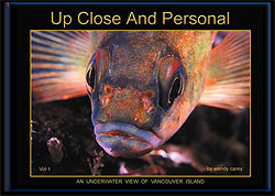 Up Close and Personal by Wendy Carey